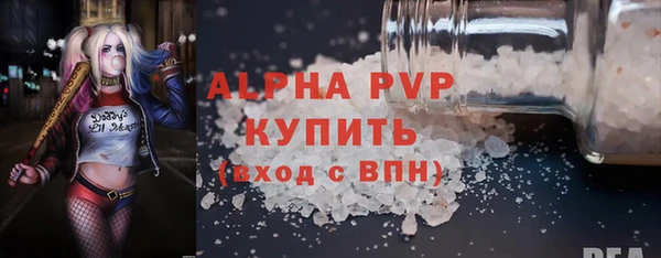 индика Богданович